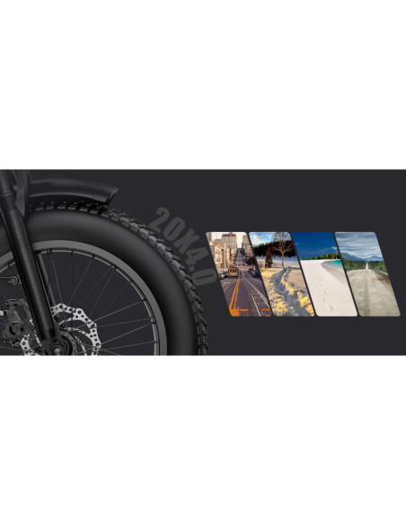 Fat Bike Elettrica G Force RC PRO 750W 48V 20Ah 20x4 Verde