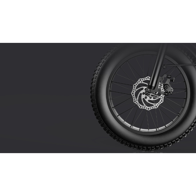 Fat Bike Elettrica G Force RC PRO 750W 48V 20Ah...