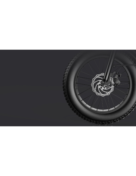 Fat Bike Elettrica G Force RC PRO 750W 48V 20Ah 20x4 Verde