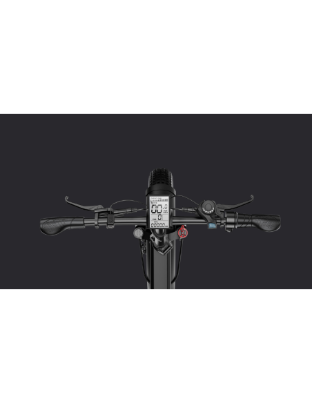 Fat Bike Elettrica G Force RC PRO 750W 48V 20Ah 20x4 Verde