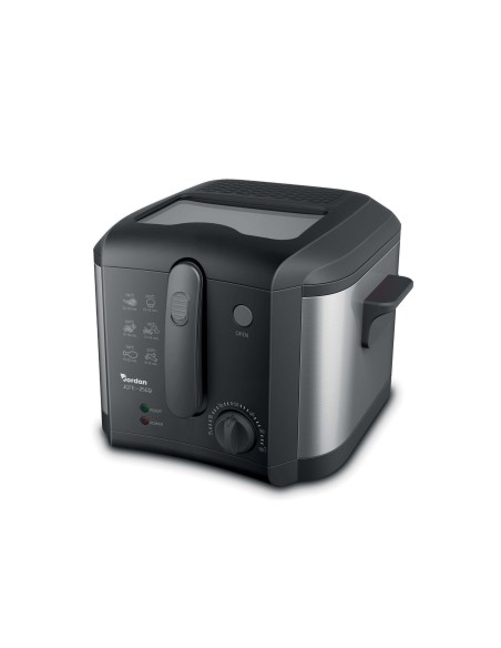Friggitrice elettrica 1660W Jordan 3L