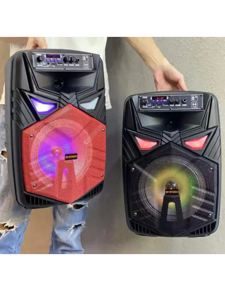 Cassa Bluetooth Altoparlante 8” 2000W con Microfono Karaoke