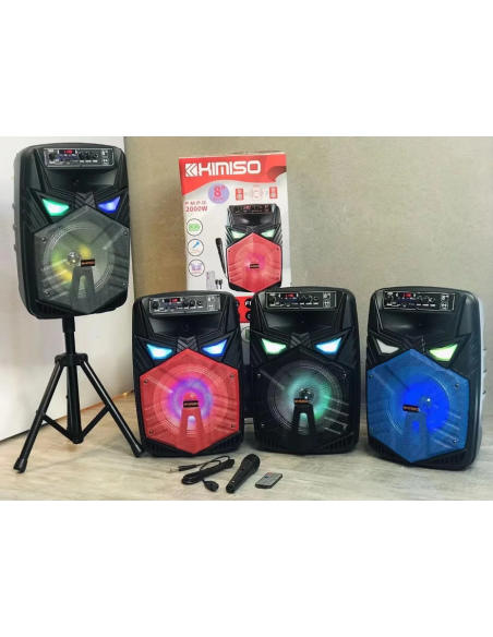 Cassa Bluetooth Altoparlante 8” 2000W con Microfono Karaoke