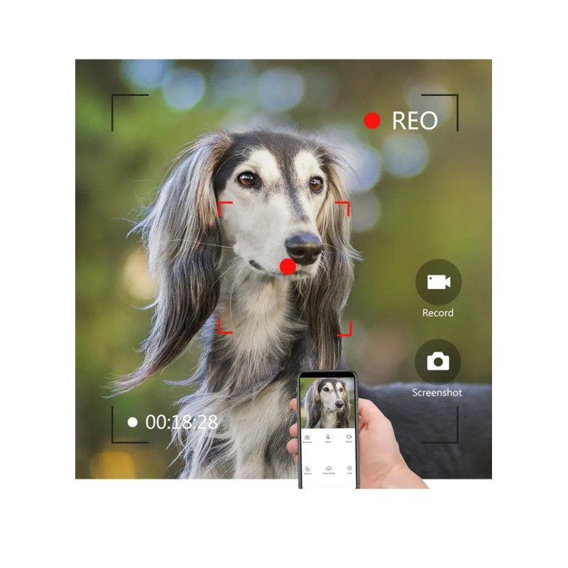 2MP 7 "160 Gradi Wifi AHD Videocitofono Per...