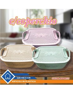 Contenitori in Plastica vari colori 26x19x15cm 2