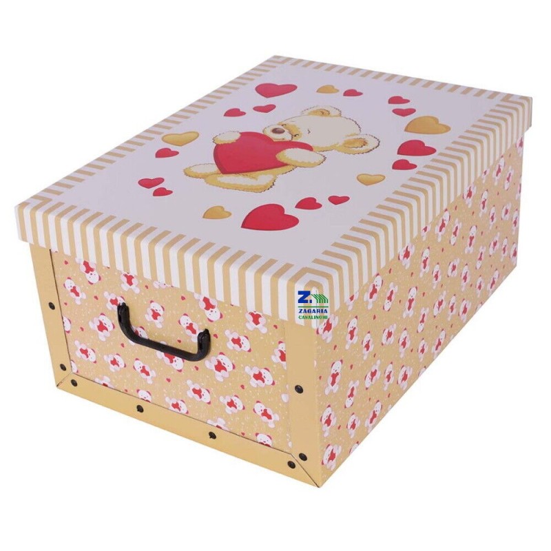 2x Scatola baule contenitore box cartone cambio...