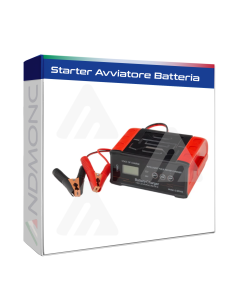 Caricabatteria per auto 12V/24V ricarica Rapida