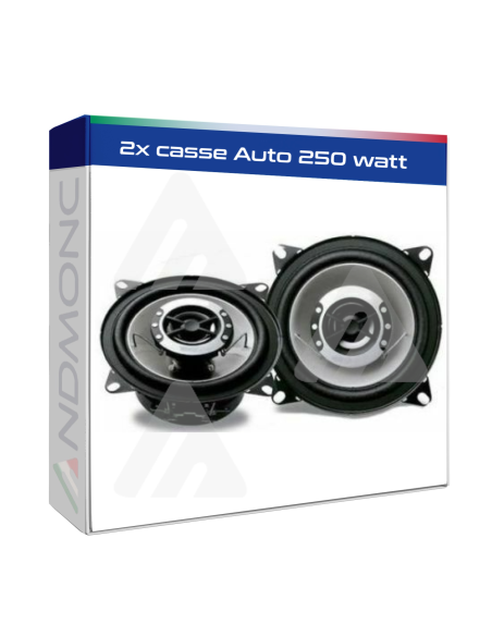 2x casse Auto 250 watt