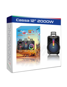 Cassa wireless 12" 2000W