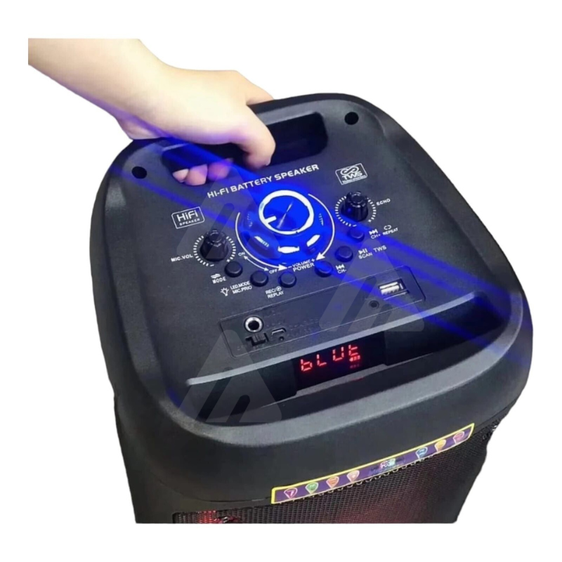 Cassa Bluetooth Wireless con Microfono Doppio...