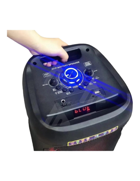 Cassa Bluetooth Wireless con Microfono Doppio Altoparlante 8” 3000W