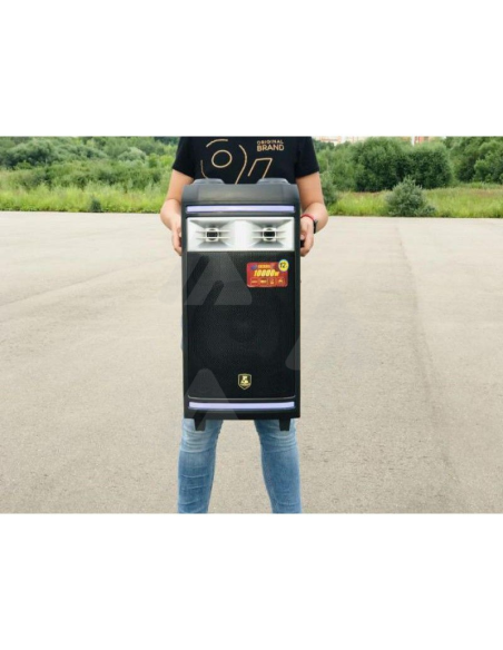 Cassa Altoparlante wireless bluetooth 10000W con due microfoni