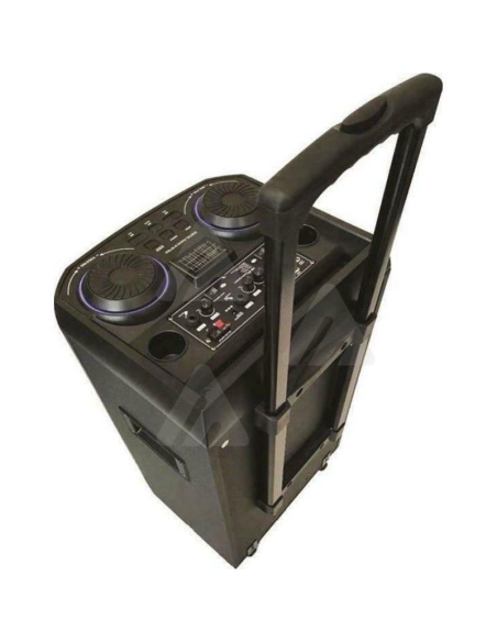 Cassa Altoparlante wireless bluetooth 10000W con due microfoni