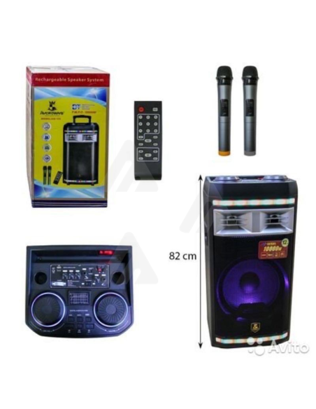 Cassa Altoparlante wireless bluetooth 10000W con due microfoni