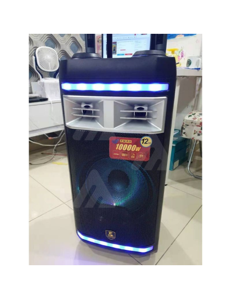 Cassa Altoparlante wireless bluetooth 10000W con due microfoni