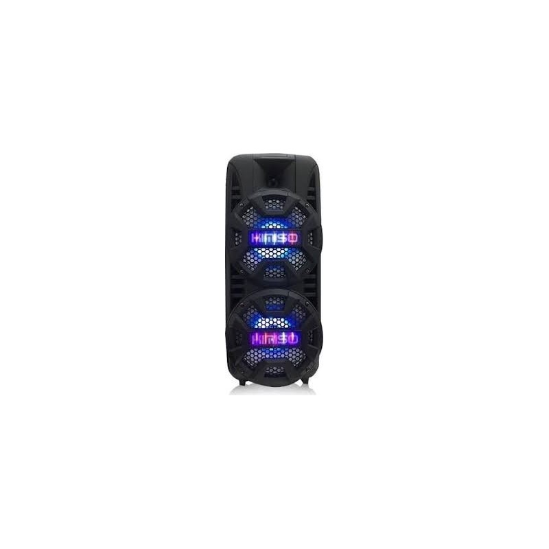Cassa wireless bluetooth 2000W con microfono