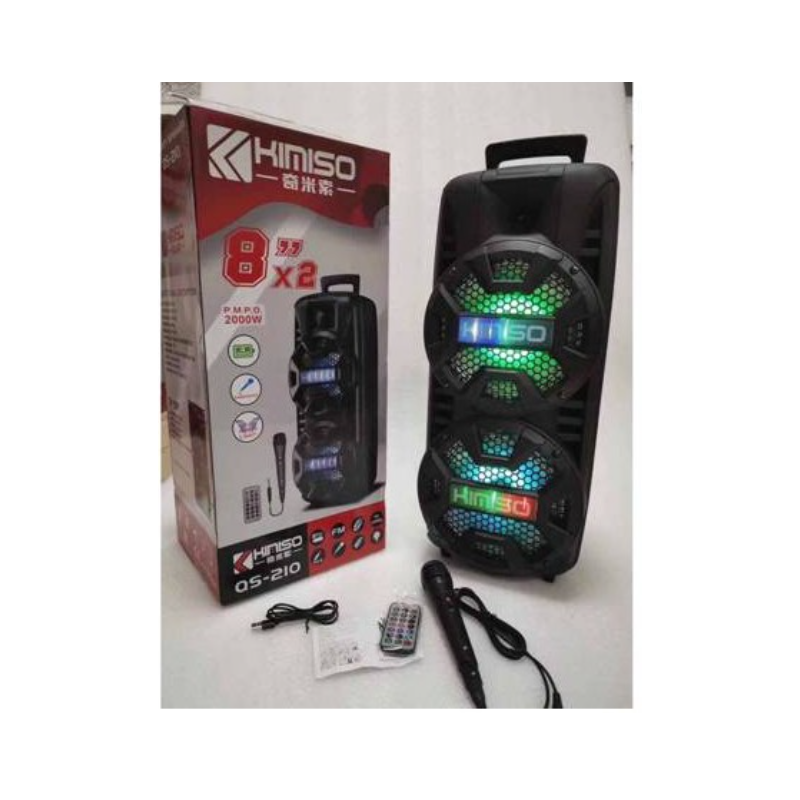 Cassa wireless bluetooth 2000W con microfono