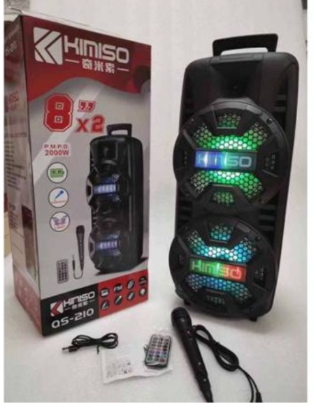 Cassa wireless bluetooth 2000W con microfono