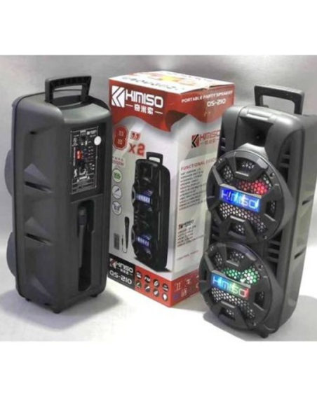 Cassa wireless bluetooth 2000W con microfono