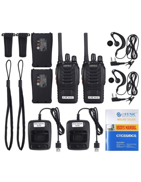 Walkie Talkie Professionale