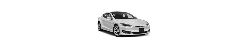 Kit luci led sottoporta logo Tesla Model S