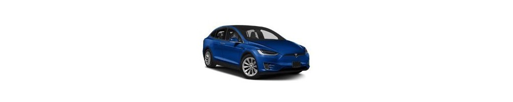 Kit luci led sottoporta logo Tesla Model X