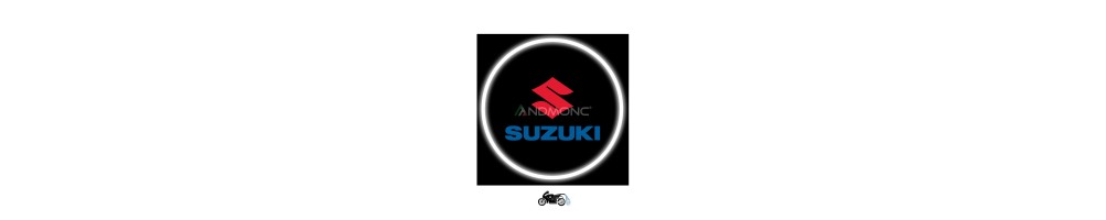 Suzuki Proiezioni moto