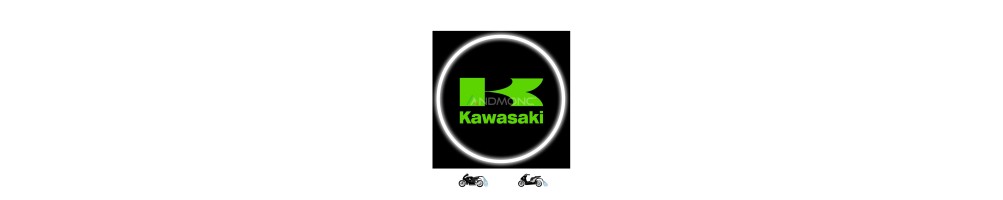Kawasaki proiezioni moto scooter
