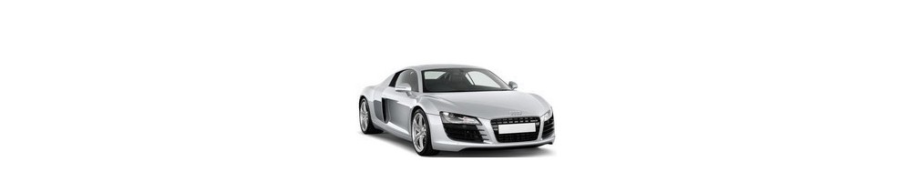 Kit luci led sottoporta con logo Audi R8