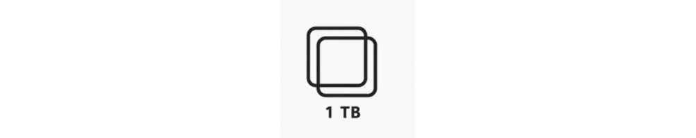Memoria 1 TB