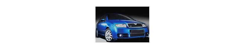 Kit luci led sottoporta logo Skoda Fabia 1