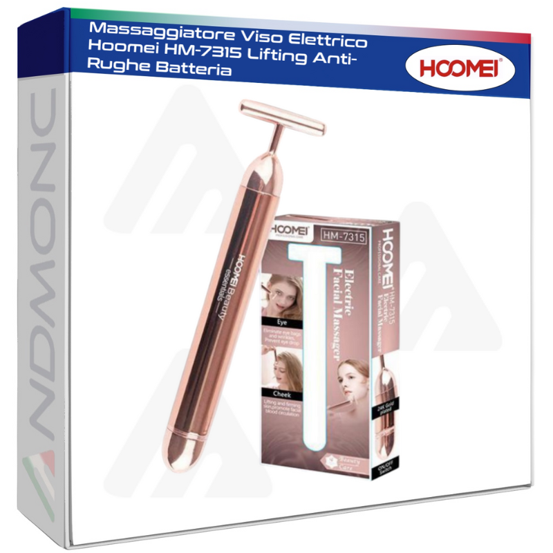 Hoomei HM-7315 Facial Massager