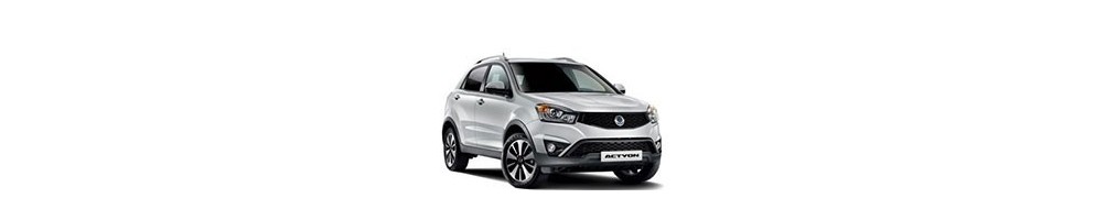 SsangYong Actyon Door Logo Projector Lights | Andmonc