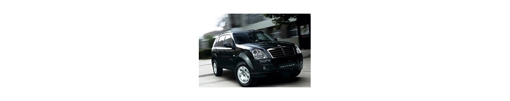SsangYong Rexton Door Logo Projector Lights | Andmonc