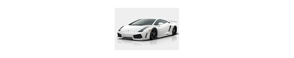 Lamborghini Gallardo Door Logo Projector Lights | Andmonc