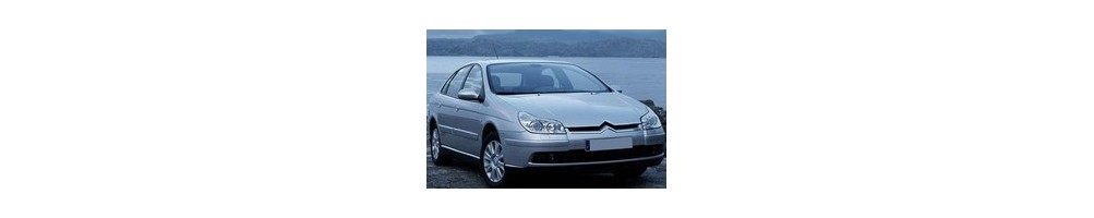 Citroën C5 I Door Logo Projector Lights | Andmonc