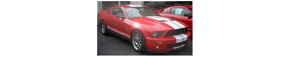 Ford Shelby Mustang GT500 Door Logo Lights | Andmonc