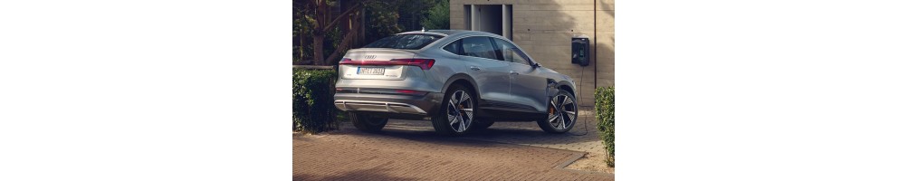 Audi e-tron Sportback Door Logo Projector Lights | Andmonc