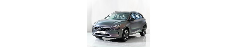 Hyundai Nexo Door Logo Projector Lights | Andmonc