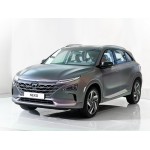 Hyundai Nexo Door Logo Projector Lights