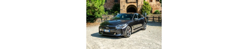 Kia Stinger Door Logo Projector Lights | Andmonc