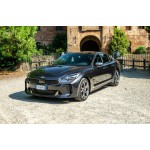 Kia Stinger Door Logo Projector Lights