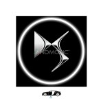 DS Car Door Logo Projector Lights