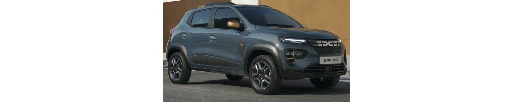 Dacia Spring Door Logo Projector Lights | Andmonc