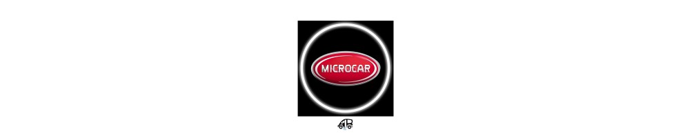 Microcar Car Door Logo Projector Lights | Andmonc
