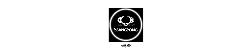 SsangYong Car Door Logo Projector Lights | Andmonc