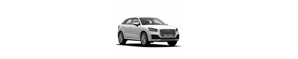 Audi Q2 Door Logo Projector Lights | Andmonc