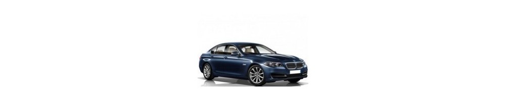 BMW Series 5 (F10 F11) Door Logo Projector Lights | Andmonc