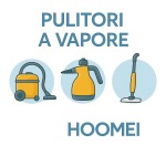 Steam Cleaners