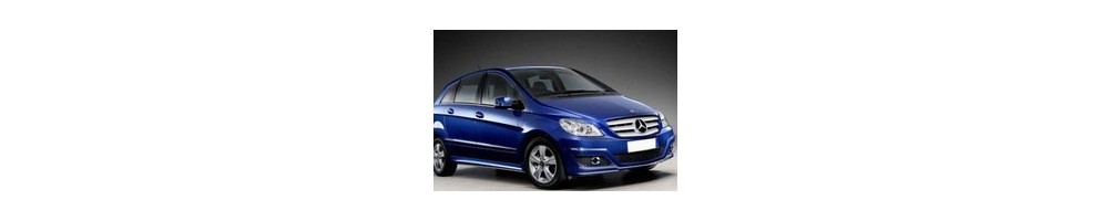 Mercedes-Benz B-Class (W245) Door Logo Lights | Andmonc